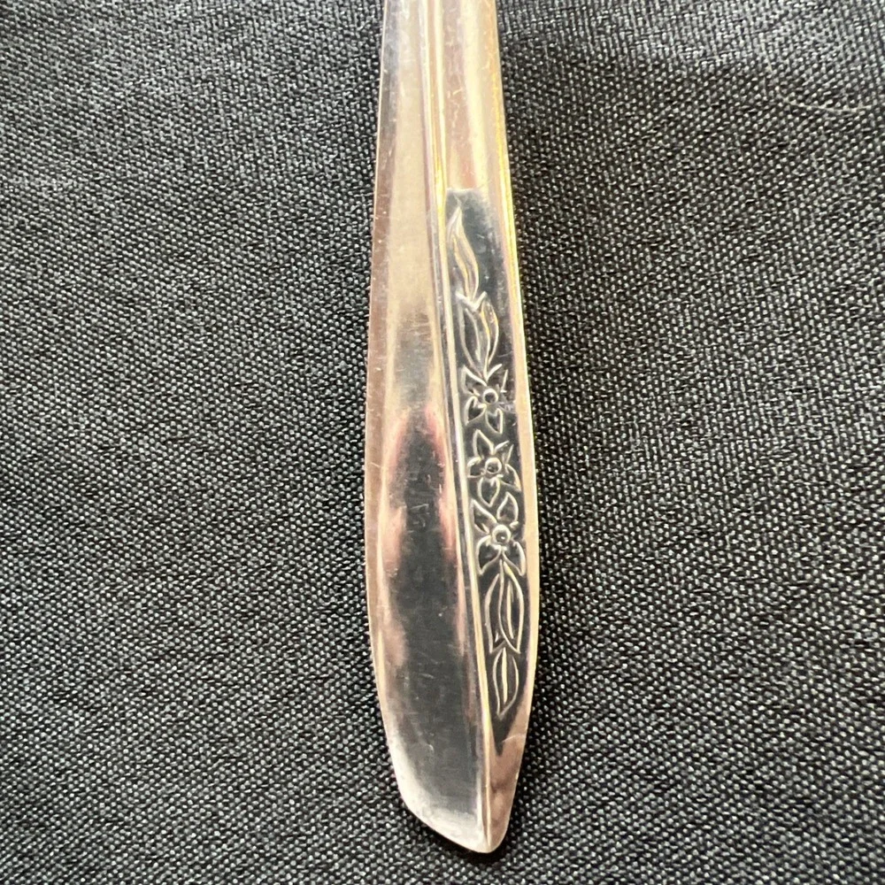 Insico International Silver Stainless Serving Spoon 8.5